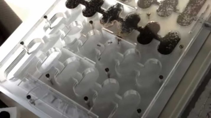 Mierenboerderij Plasticutnest 01